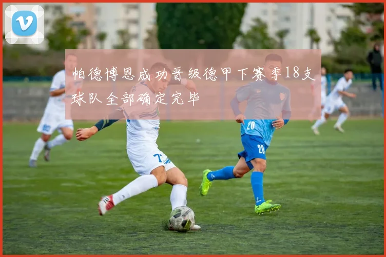 帕德博恩成功晋级德甲下赛季18支球队全部确定完毕